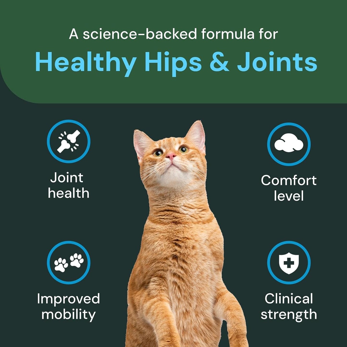 VetriScience cat mobility supplement container and soft chews