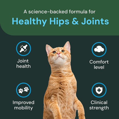 VetriScience cat mobility supplement container and soft chews