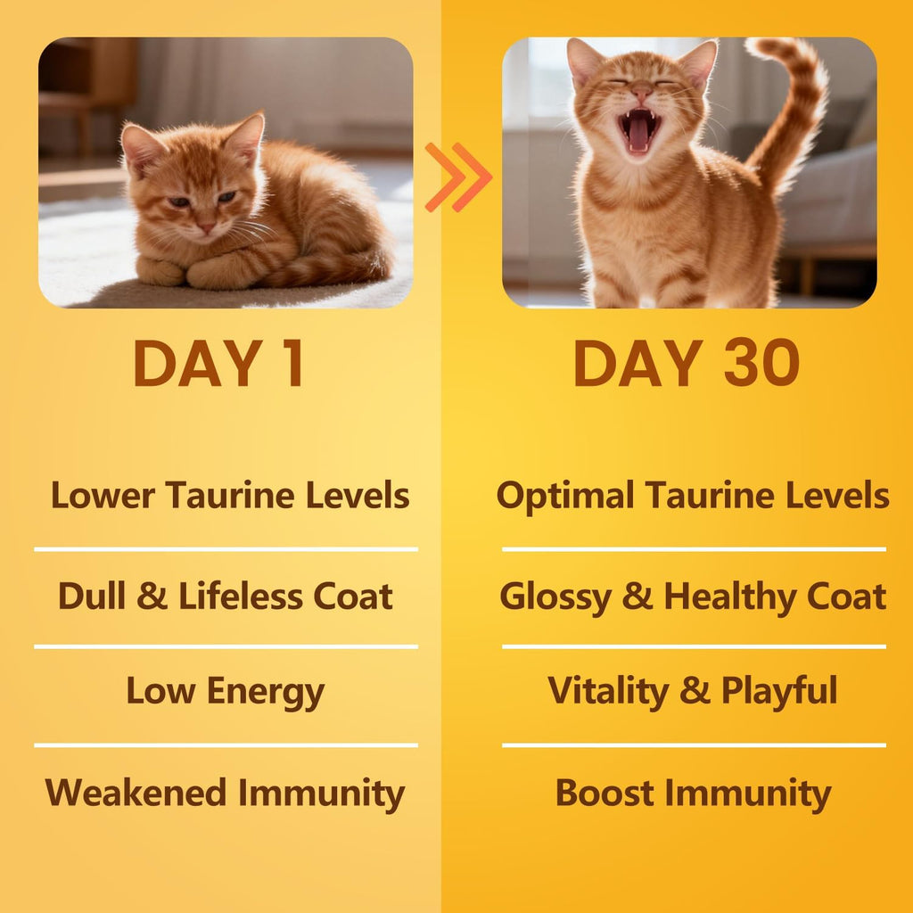 Close up of BioBiopaw feline immune and heart health supplement container text details