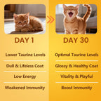 Close up of BioBiopaw feline immune and heart health supplement container text details