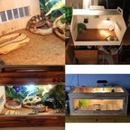 Reptile carpet mat shown inside a turtle and lizard enclosure