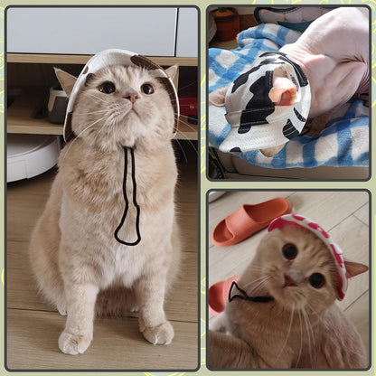 DENTRUN Cat Bucket Hat with Ear Hole, Cotton Birthday Bonnet for Small Pets | Breathable cotton, Adjustable Secures fit, For birthday Party, For small cats, daily cute photos - Image 9