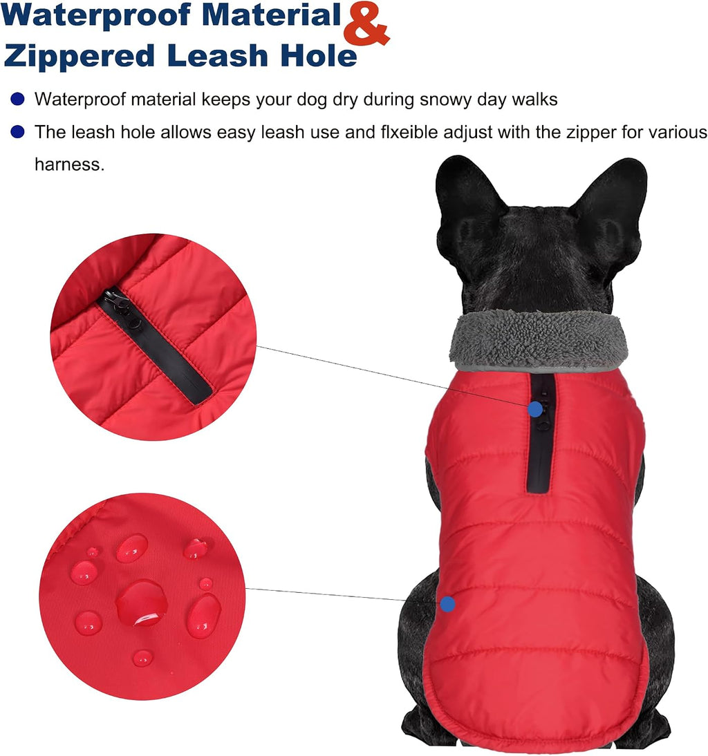 Petglad dog jacket showing waterproof outer fabric texture