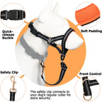 Barkless dog halter with soft padding detail