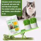 Natural fiber teething snacks for feline digestive health