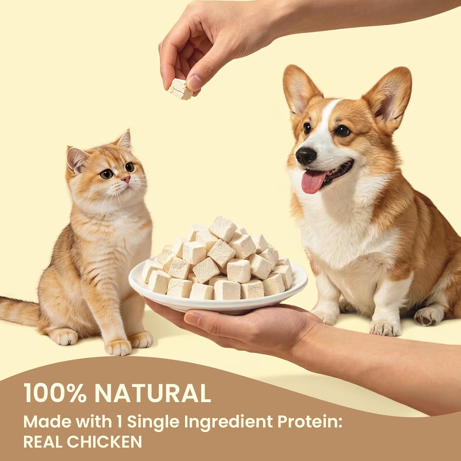Freeze Dried Chicken,Freeze Dried Chicken Dog Treats Natural No Additives,Single Ingredient,High Protein,Suitable for All Ages Cats and Dogs,Dehydrated Suitable for Training - Image 9