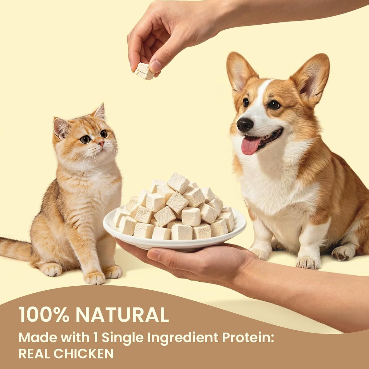 Freeze Dried Chicken,Freeze Dried Chicken Dog Treats Natural No Additives,Single Ingredient,High Protein,Suitable for All Ages Cats and Dogs,Dehydrated Suitable for Training - Image 9