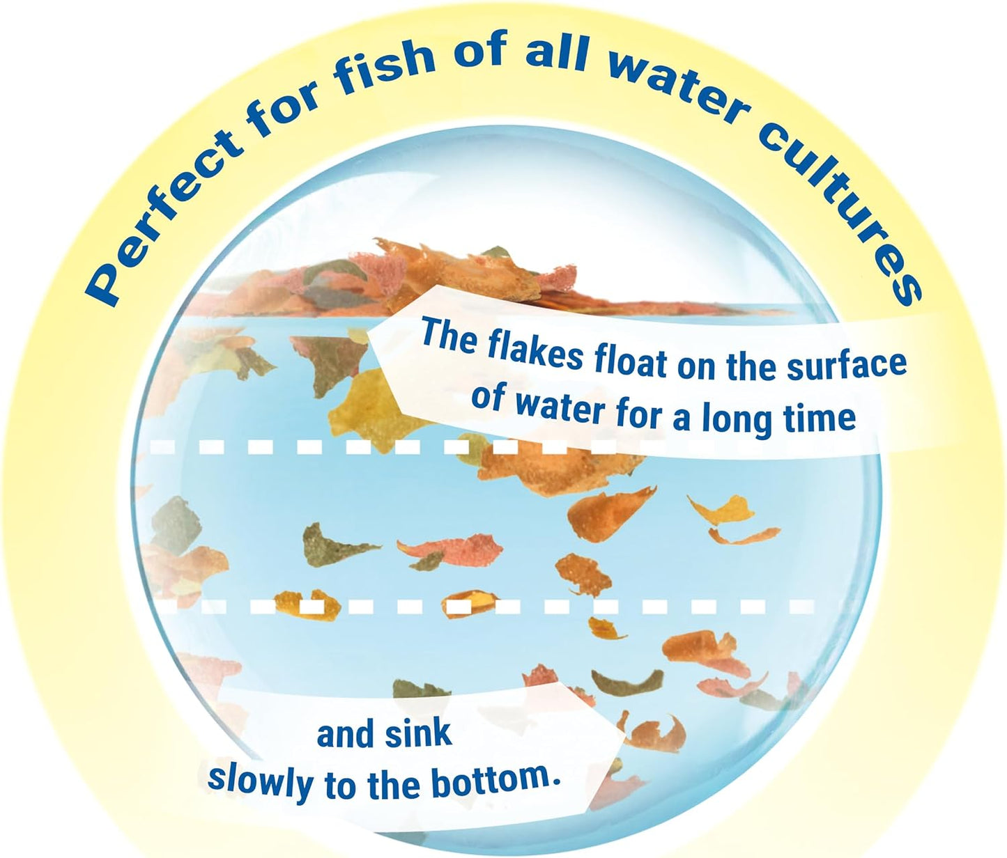 Tetra fish food container lid and seal