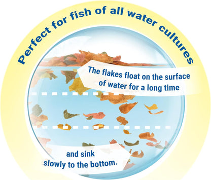 Tetra fish food container lid and seal