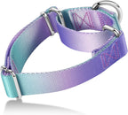 Axdvk martingale dog collar front view purple green gradient design