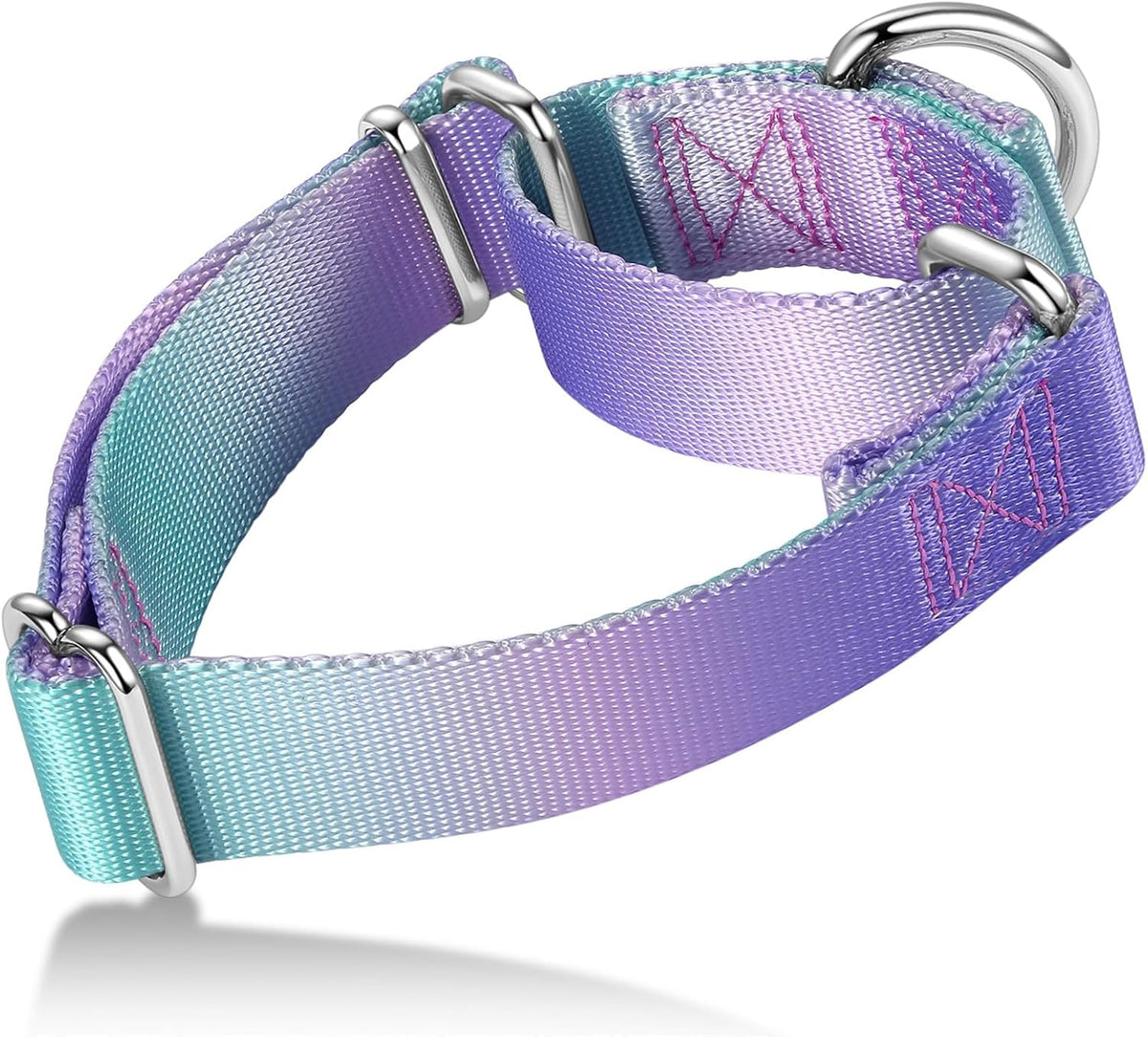 Axdvk martingale dog collar front view purple green gradient design