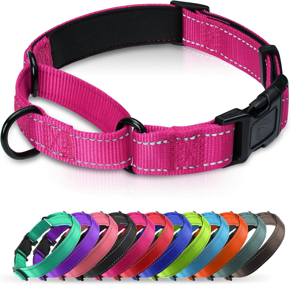 Erbine padded martingale dog collar front view authentic hotpink training collar.