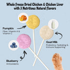 The complete 18 pack set of MalsiPree raw chicken and goat milk cat pops.