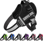 Model dog wearing JSXD service dog harness in outdoor setting