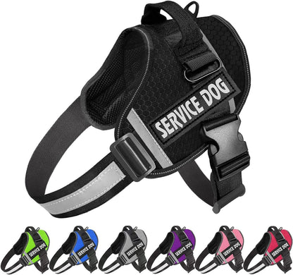 Model dog wearing JSXD service dog harness in outdoor setting