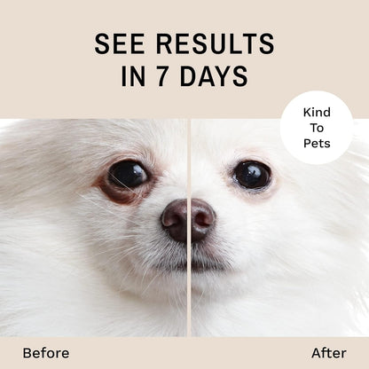 Authentic imported pet tear stain remover treatment zero point five ounce jar