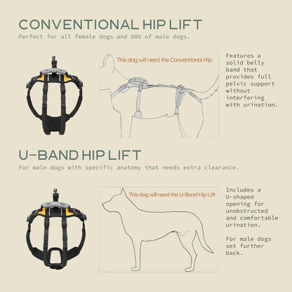 Help 'Em Up(R) - Dog Lift Harness Adjustable Lifting Harness for Dogs Full Body Support, Rear Leg Support (Conventional, Medium, 45-80 lbs) - Image 2