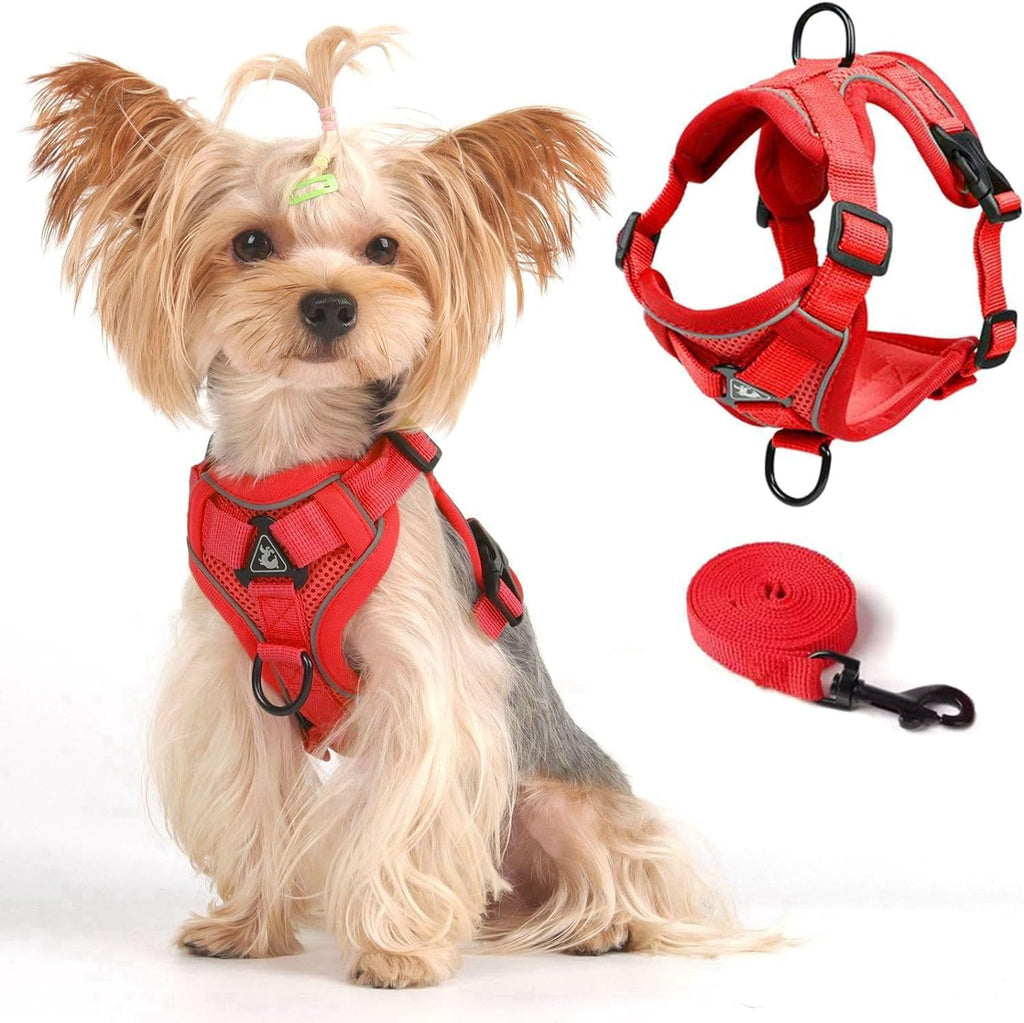 Skmeditec Cat Harness and Leash Set: Upgraded Escape Proof Vest with Lead for Large Cat Small Dog Puppy Walking, Soft Jacket with Reflective Strips L2 Size Blue - Image 9