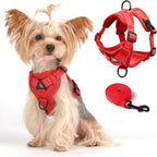 Skmeditec Cat Harness and Leash Set: Upgraded Escape Proof Vest with Lead for Large Cat Small Dog Puppy Walking, Soft Jacket with Reflective Strips L2 Size Blue - Image 9