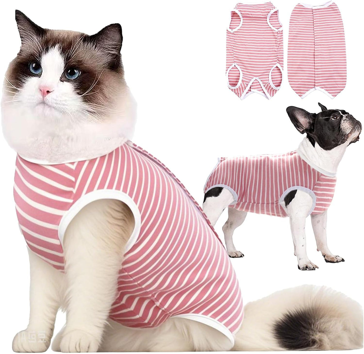 TIAGOBOO cat recovery suit front view pink striped surgical onesie on a kitten