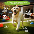 Healthy Dogma grain free dehydrated dog food packaging