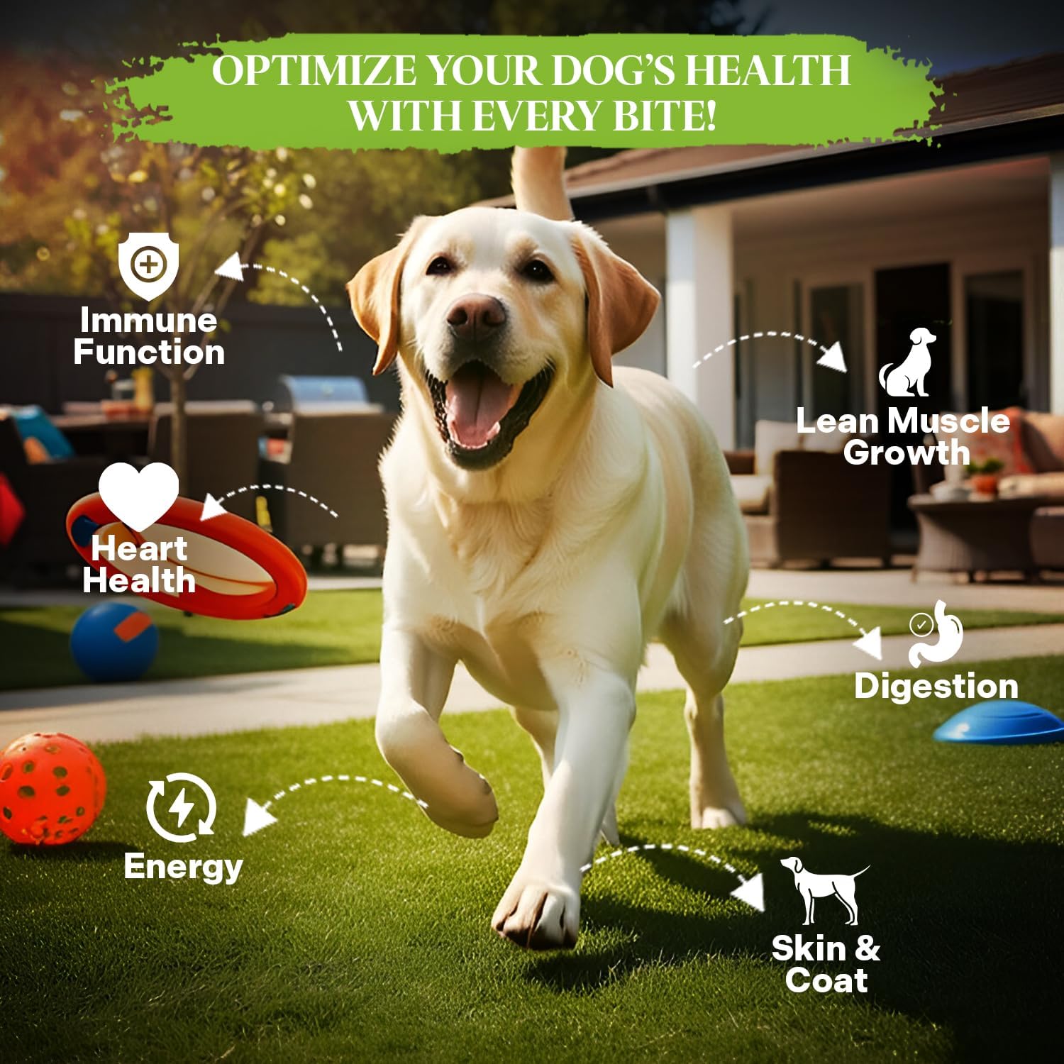 Healthy Dogma grain free dehydrated dog food packaging
