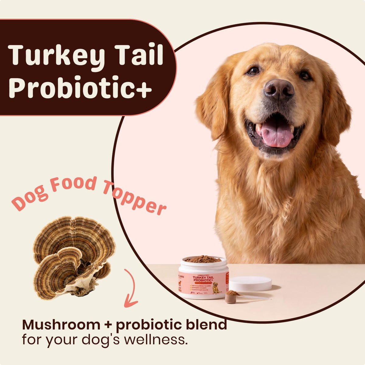 Lumiqour canine probiotic supplement packaging highlighting bacon flavor info