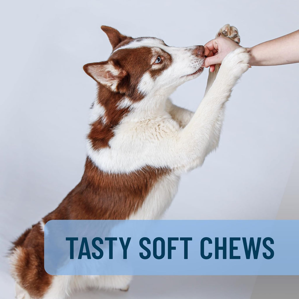 USA imported pet calming treats packaging with genuine manufacturing details.