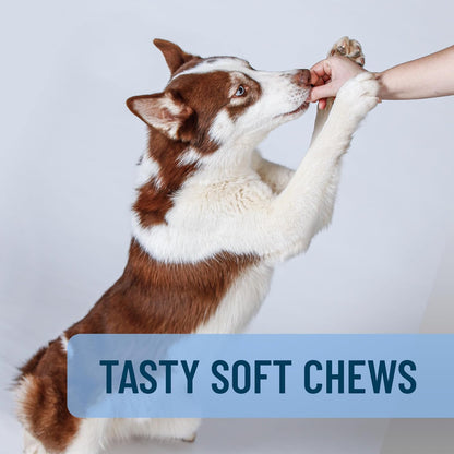USA imported pet calming treats packaging with genuine manufacturing details.