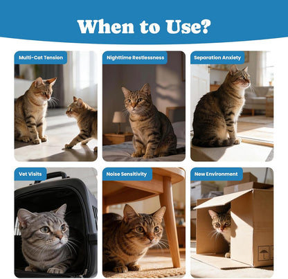 Authentic USA imported BuddyCheer stress relief chews for feline grooming anxiety