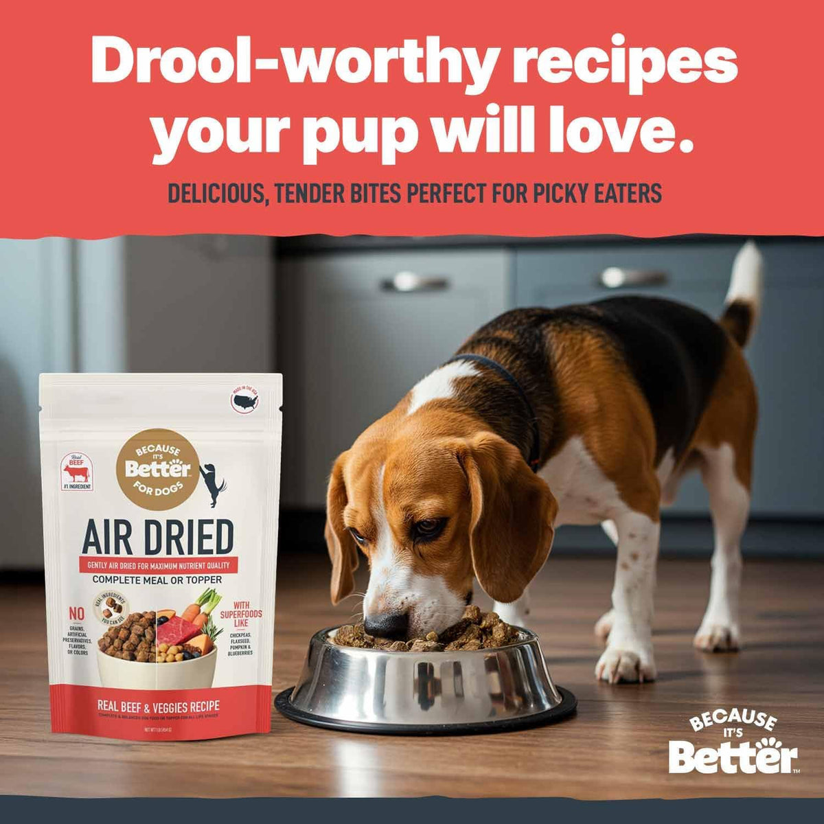 Because It's Better slow baked pet food packaging back view showing feeding guide