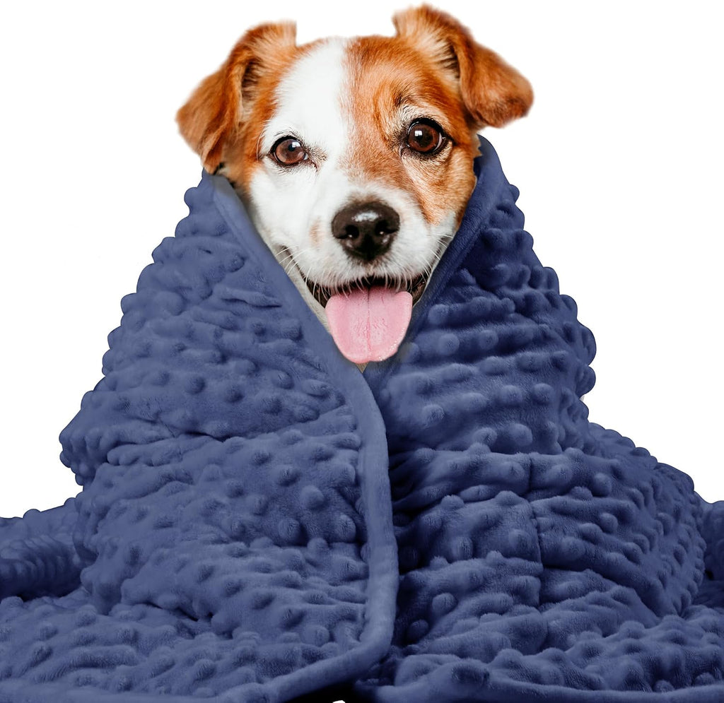 LaSyL Weighted Blanket for Pets | Thunder Blanket for Dogs Anxiety | Premium Soft Minky | Relaxation & Calming & Anti Anxiety | Used in Car, Bed, Couch | Blue Grey Star, Washable Small (24"x32") - Image 11