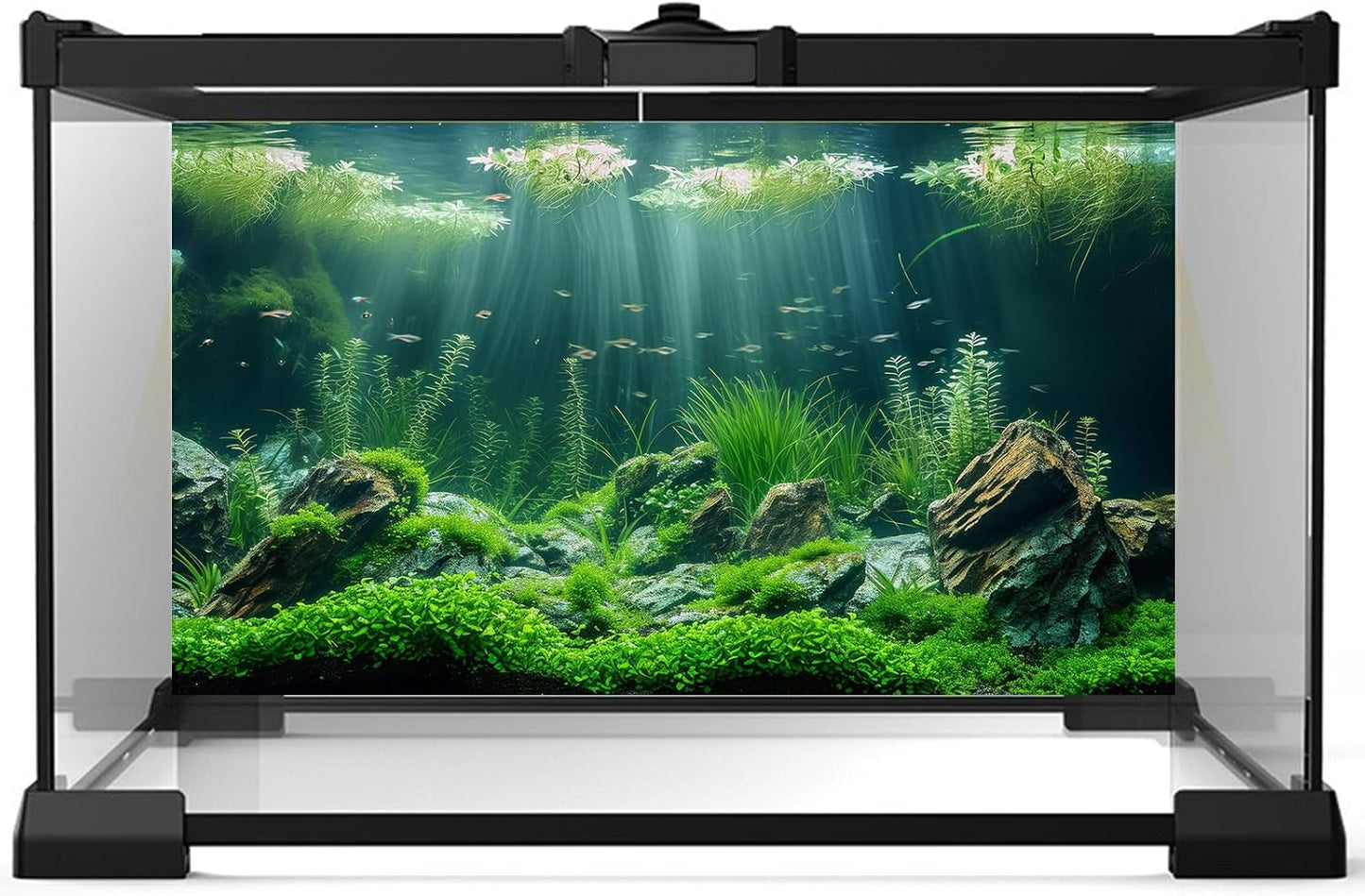 Riivvdise fish tank backdrop showcasing high definition aquatic plants and river bed stones.