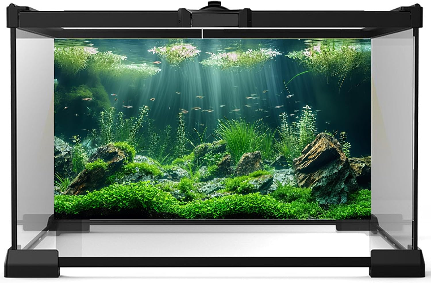 Riivvdise fish tank backdrop showcasing high definition aquatic plants and river bed stones.