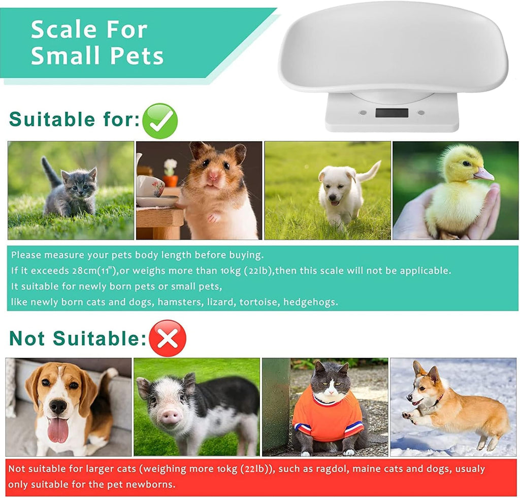 Qulable high precision puppy scale with newborn kitten being measured with the integrated tape measure