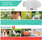 Qulable high precision puppy scale with newborn kitten being measured with the integrated tape measure