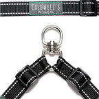 Caldwell's Pet Supply Co. adjustable dual dog leash attachment layout with hardware clasps.