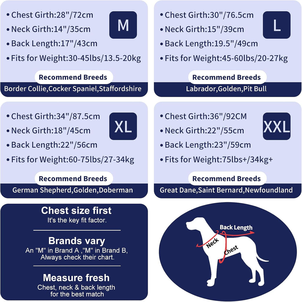 UV protective summer pet clothes for sensitive skin protection.