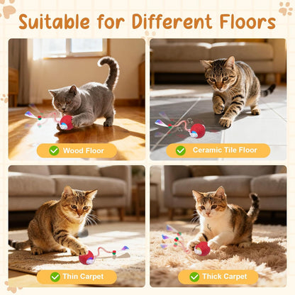 Sentoo smart rechargeable cat toy ball with bell mesh tail attachment.