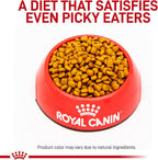 Royal Canin veterinary diet cat food bag packaging