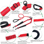 Heavy duty two dog training lead for medium and large breeds