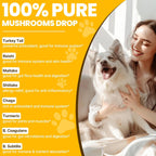 Chicken flavored turkey tail mushroom liquid formula being added to dog food for digestive support.