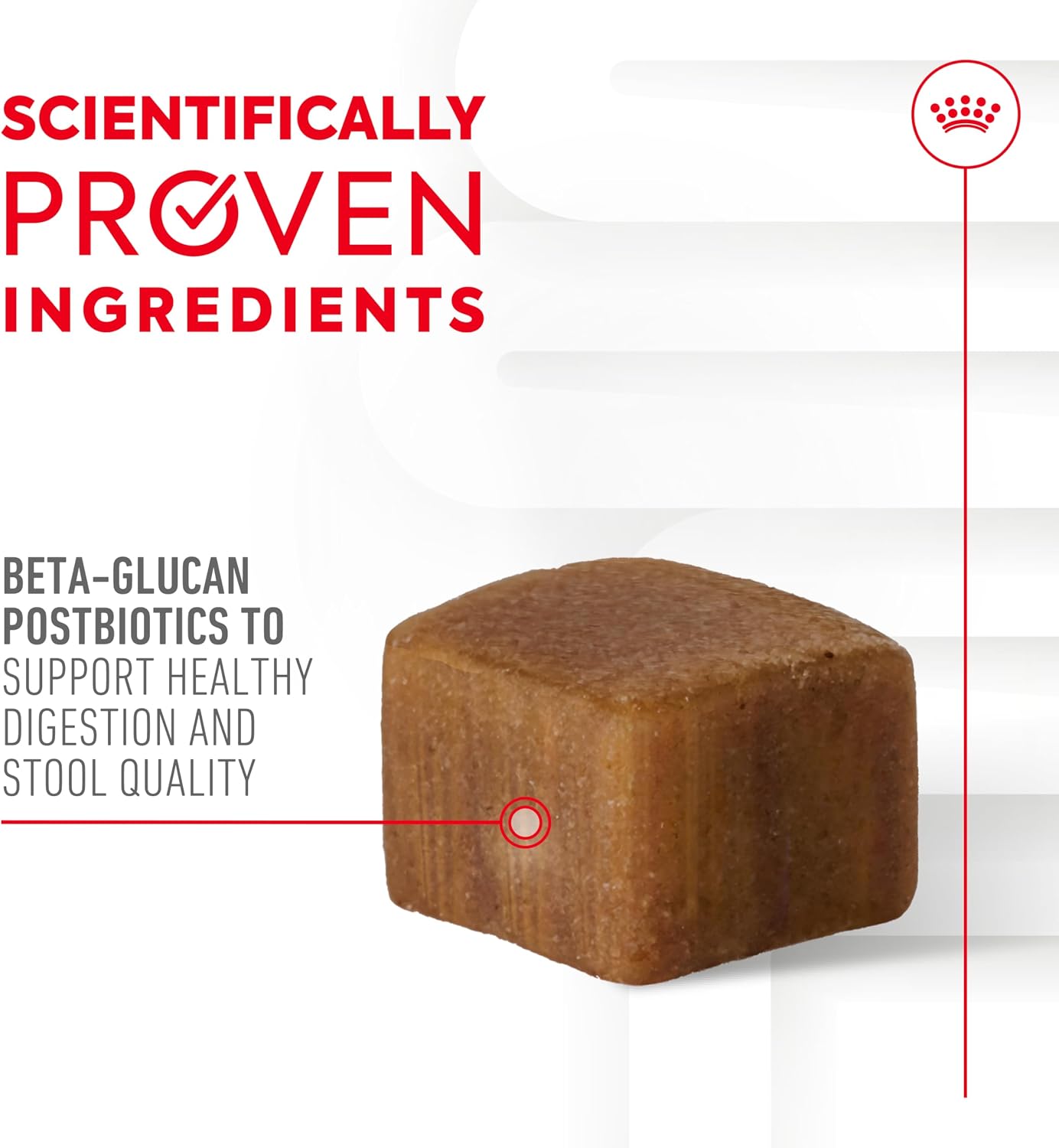 Royal Canin digestive health chews packaging details