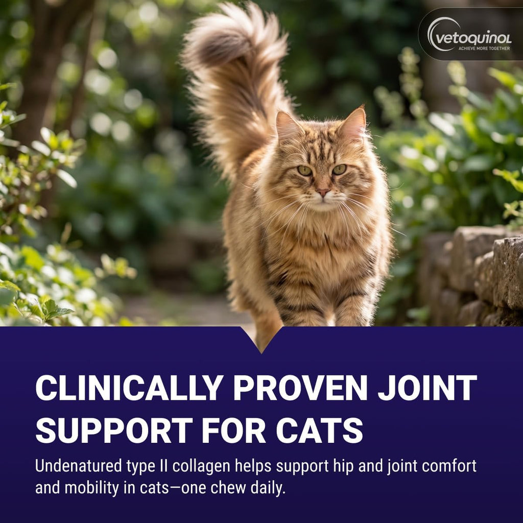 Vetoquinol Flexadin cat supplement packaging detail