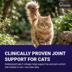 Vetoquinol Flexadin cat supplement packaging detail