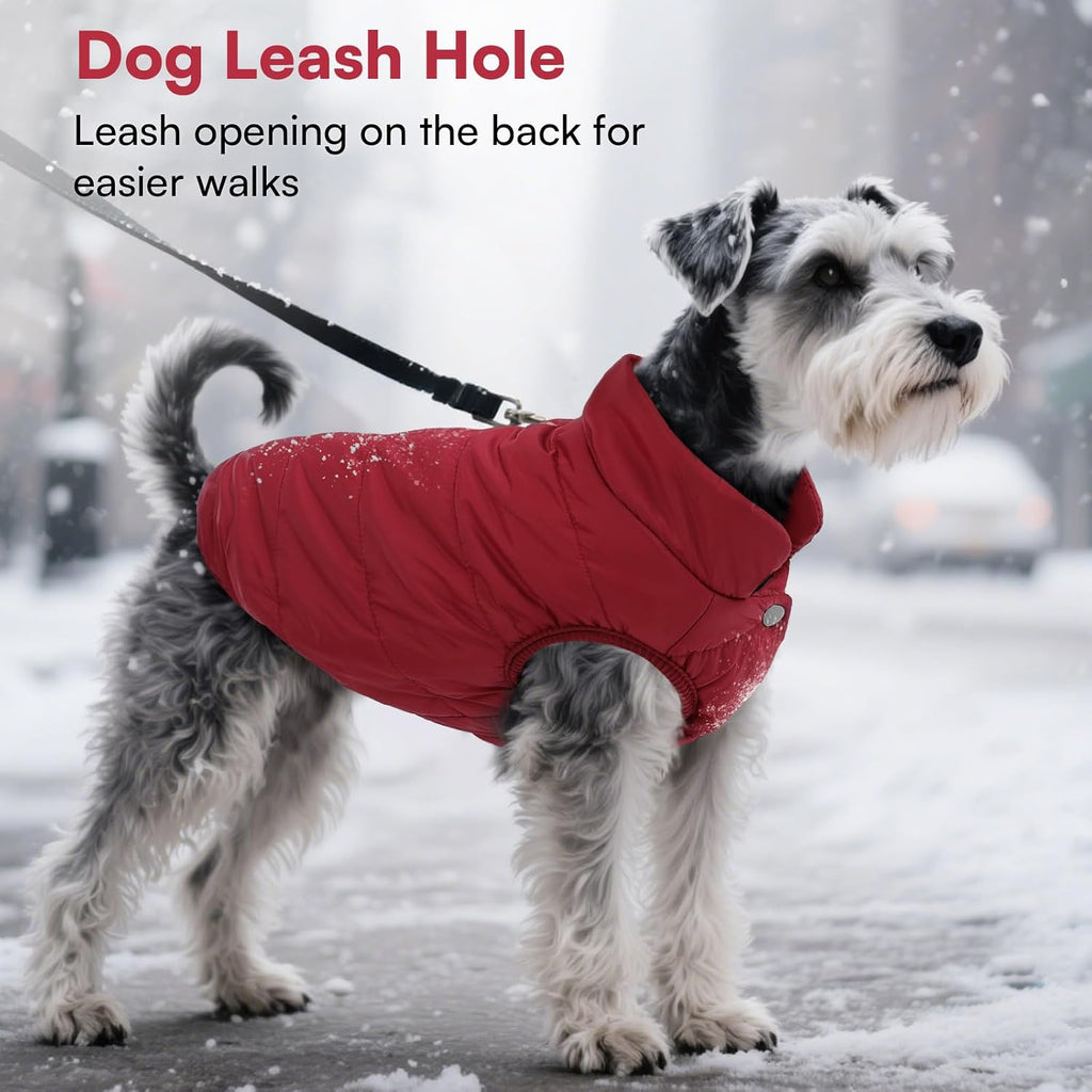 Asenku dog winter jacket showing elastic leg and bottom edges