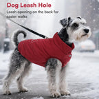 Asenku dog winter jacket showing elastic leg and bottom edges