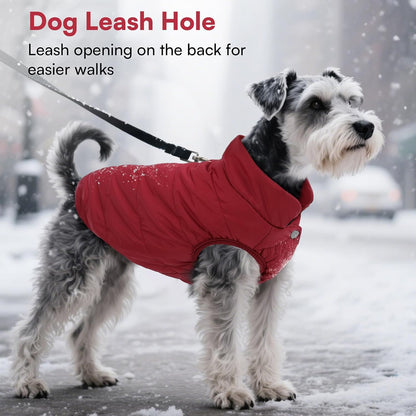 Asenku dog winter jacket showing elastic leg and bottom edges