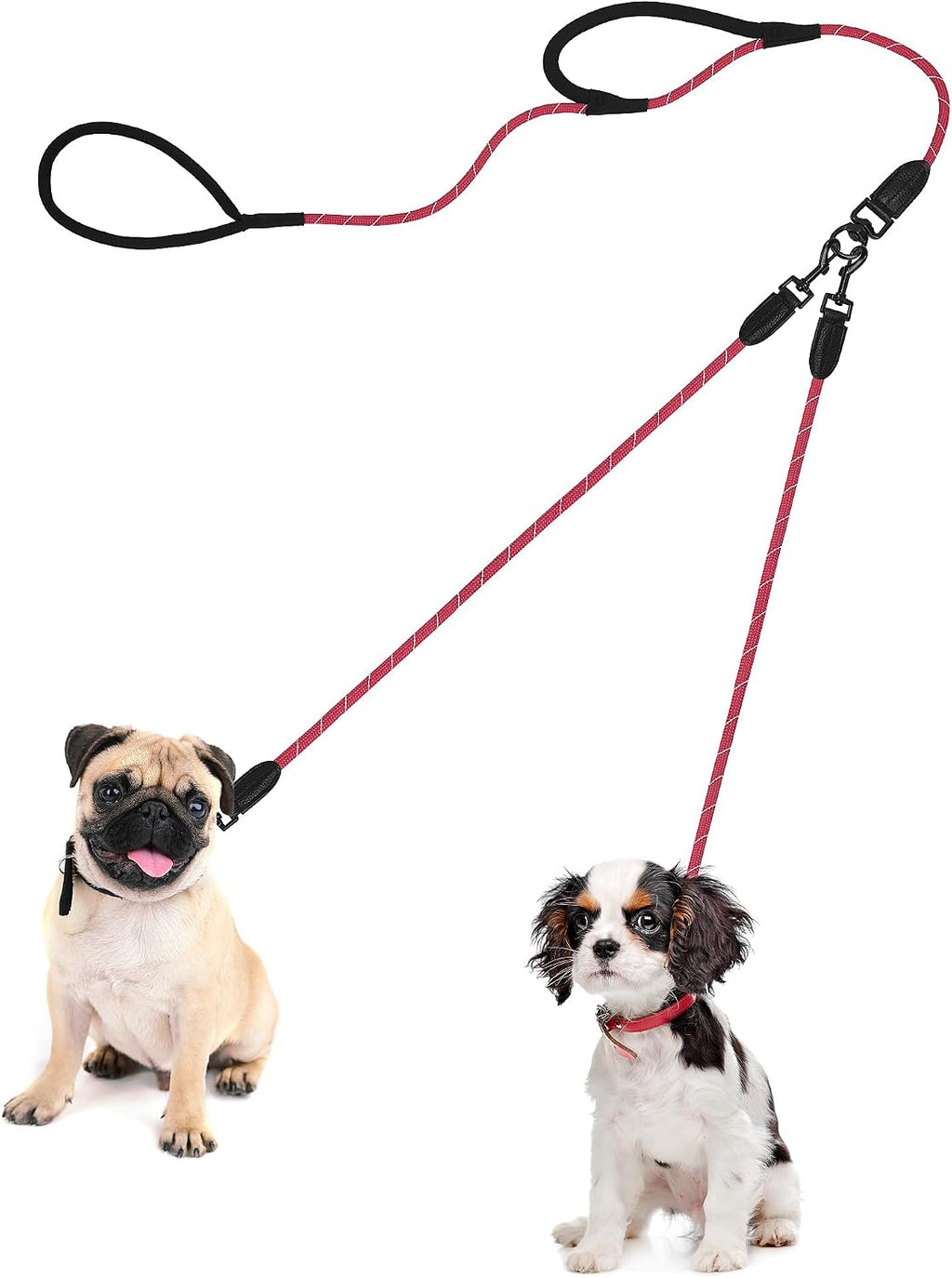 Premium imported PetBonus dual pet training leash for two puppies