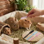 4-Pack Hamster Grooming Combs and Small Pet Hair Brushes for Hamsters, Rabbits, Guinea Pigs, Mice and Other Tiny Animals - Image 9